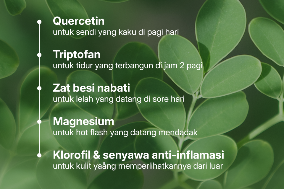 Daun kelor utuh + kapsul dengan anotasi nutrisi yang dipetakan ke 5 gejala cluster